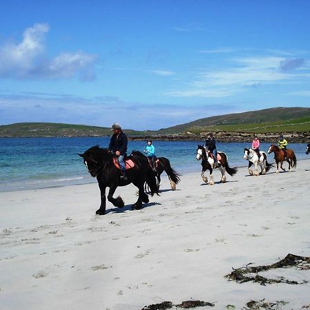 Creeve House Hotel Clifden Kültér fotó